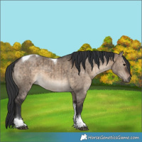 Horse Color:Brown Dun Tobiano Brindle