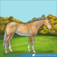 Horse Color:Silver Sable Cream Champagne Dun Sabino Brindle 