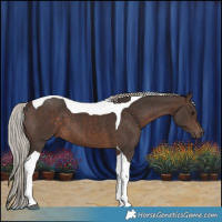 Horse Color:Silver Brown Tobiano 