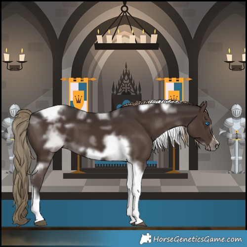 Horse Color:Liver Chestnut Tobiano Frame