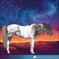 Horse Color:Liver Chestnut Tobiano 