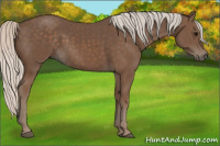 Horse Color:Silver Black 