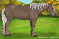 Horse Color:Silver Black 