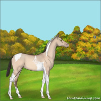 Horse Color:Sable Champagne Dun Tobiano 