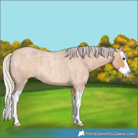 Horse Color:Silver Bay Roan Dun Splash 