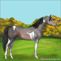 Horse Color:Brown Tobiano 