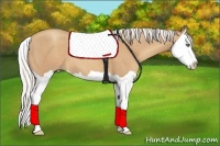 Horse Color:Silver Classic Champagne Splash 