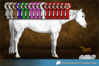 Horse Color:Black Sabino Splash