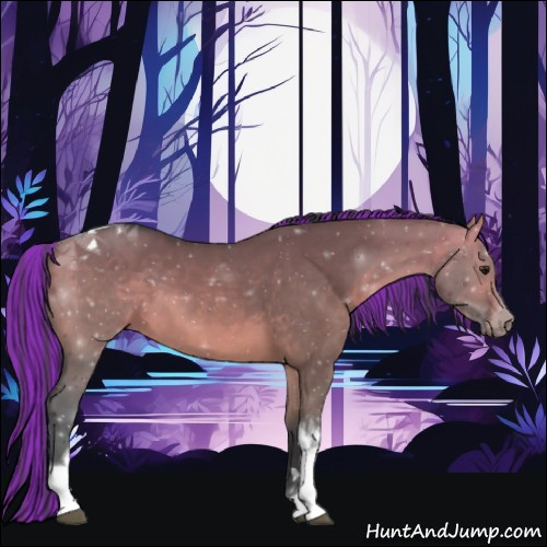 Horse Color:Painted Bay Dun Tobiano