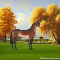 Horse Color:Brown Appaloosa