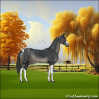 Horse Color:Black Tobiano Snowflake Varnish