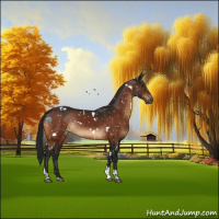 Horse Color:Gray White Spotted Brown Tobiano Appaloosa 