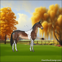 Horse Color:Gray Brown Tobiano Snowflake Varnish