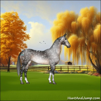 Horse Color:Gray White Spotted Brown Tobiano Snowflake Varnish