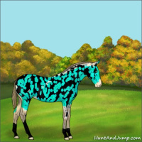 Horse Color:Amber Cream Champagne Tobiano Near Leopard