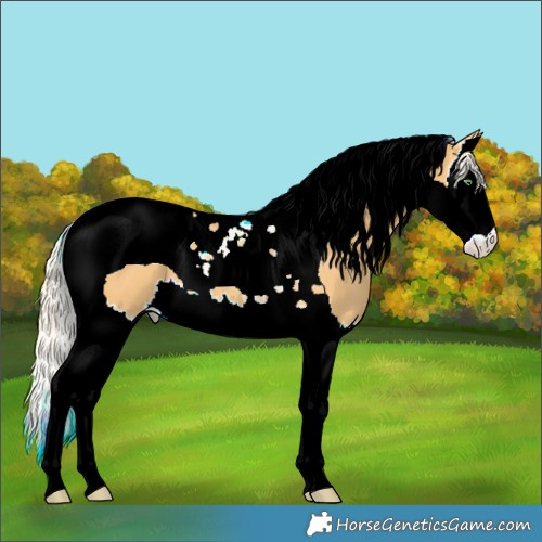 Horse Color:Silver Classic Cream Champagne Splash Tobiano 