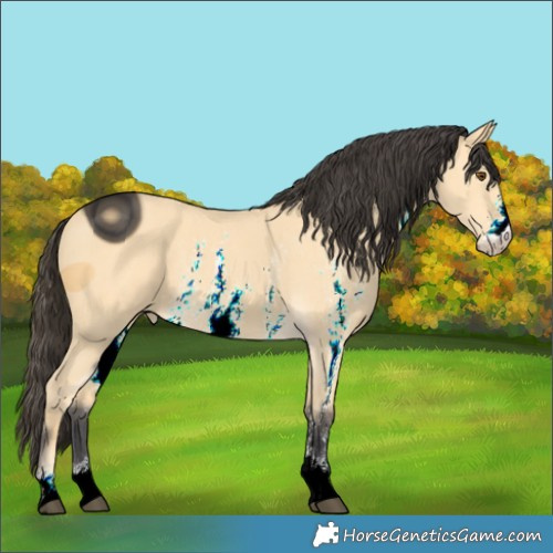 Horse Color:ERROR: UNKNOWN ANOMALY