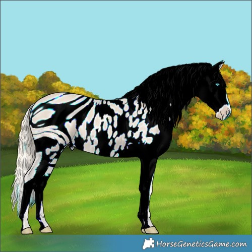 Horse Color:ERROR: UNKNOWN ANOMALY