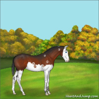 Horse Color:Brown Splash