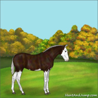 Horse Color:Midnight Silver Brown Splash 
