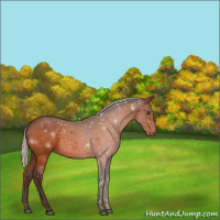 Horse Color:Void Silver Brown