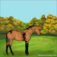 Horse Color:Void Buckskin Sabino Tobiano 