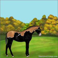 Horse Color:Gray Amber Champagne Splash 