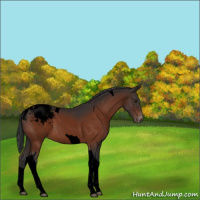 Horse Color:Void Brown Tobiano Snowcap 