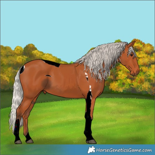 Horse Color:ERROR: UNKNOWN ANOMALY