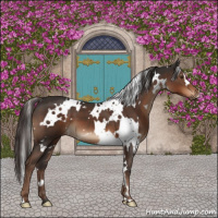 Horse Color:White Spotted Liver Chestnut 