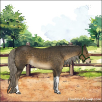 Horse Color:Chocolate Palomino Tobiano 