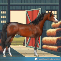 Horse Color:Brown 