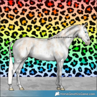 Horse Color:Silver Classic Champagne Dun Sabino Splash Rabicano