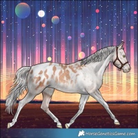 Horse Color:Silver Sable Champagne Tobiano Blanket 