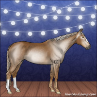 Horse Color:Gray Palomino