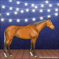 Horse Color:Gray Silver Buckskin 