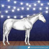 Horse Color:Gray Buckskin
