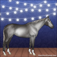 Horse Color:Gray Silver Black