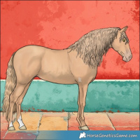 Horse Color:Gold Champagne 