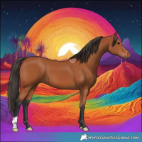 Horse Color:Bay 