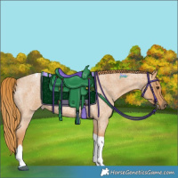 Horse Color:Red Roan Tobiano 