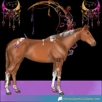 Horse Color:Chestnut Tobiano 