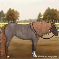 Horse Color:Liver Red Roan 
