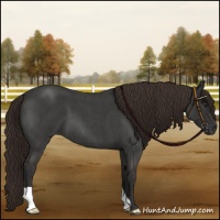Horse Color:Liver Red Roan 