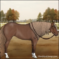 Horse Color:Liver Red Roan 