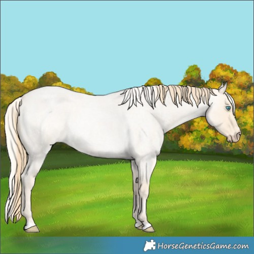 Horse Color:Buckskin Roan Pearl  and Cremello Roan 