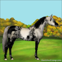 Horse Color:Void White Spotted Chocolate Palomino Pearl Mushroom Tobiano 