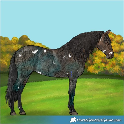 Horse Color:White Spotted Bay Ice Dun 