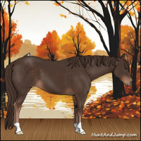 Horse Color:Liver Chestnut 