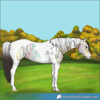 Horse Color:Bay Ice Tobiano